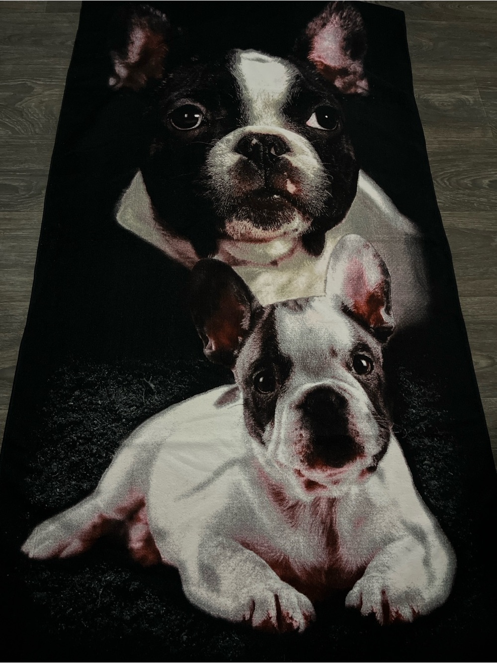 Black and White French Bulldog Towel